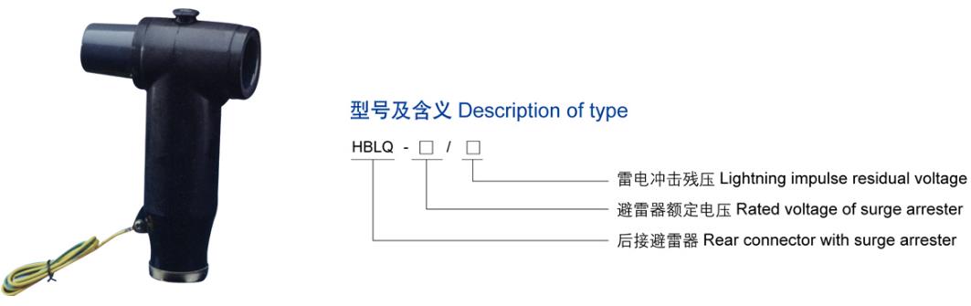 15KV欧式后接避雷器