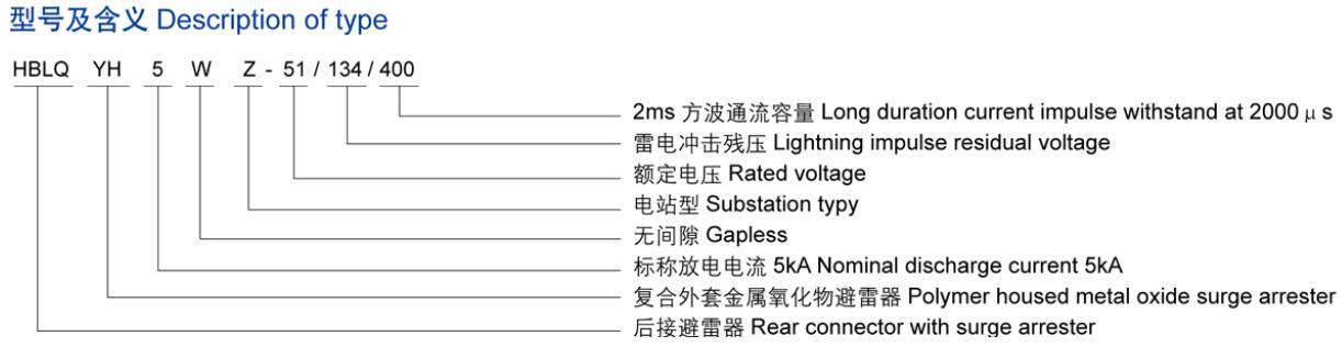 35KV欧式后接避雷器