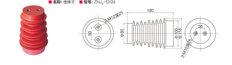 绝缘子 ZNJ6-12/24