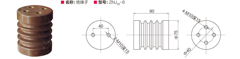 绝缘子 ZNJ30-6