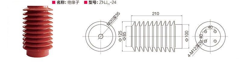 绝缘子 ZNJ11-24