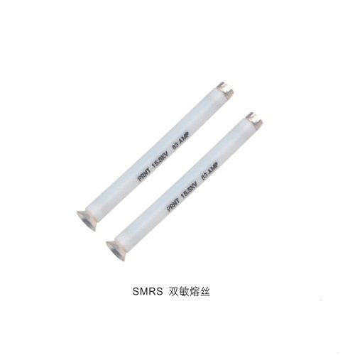 双敏熔丝 SMRS-(10-100A)