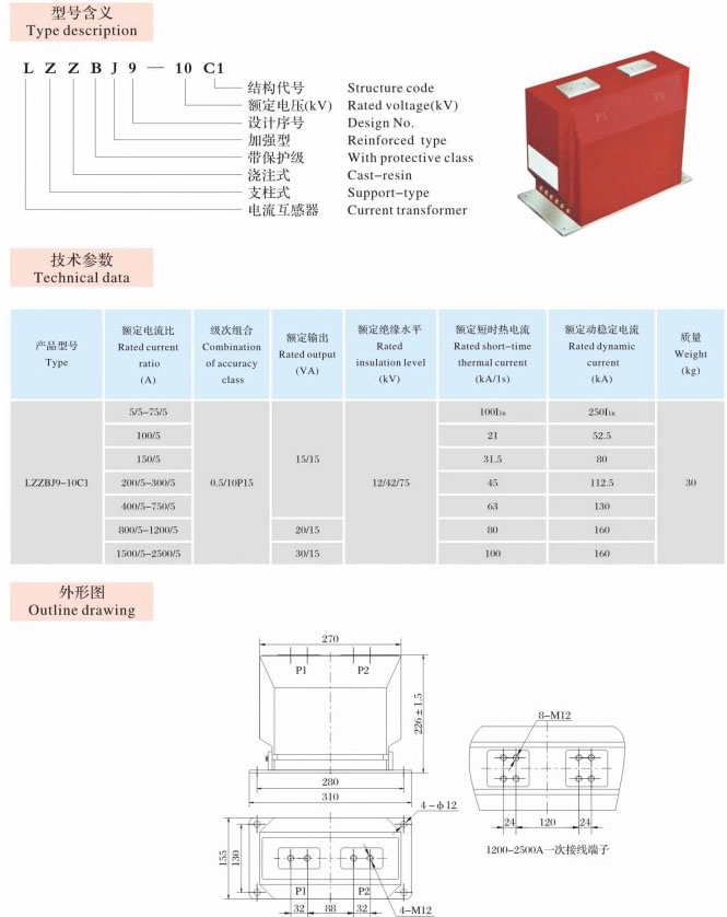 LZZBJ9-10 C1  支柱式、穿墙式