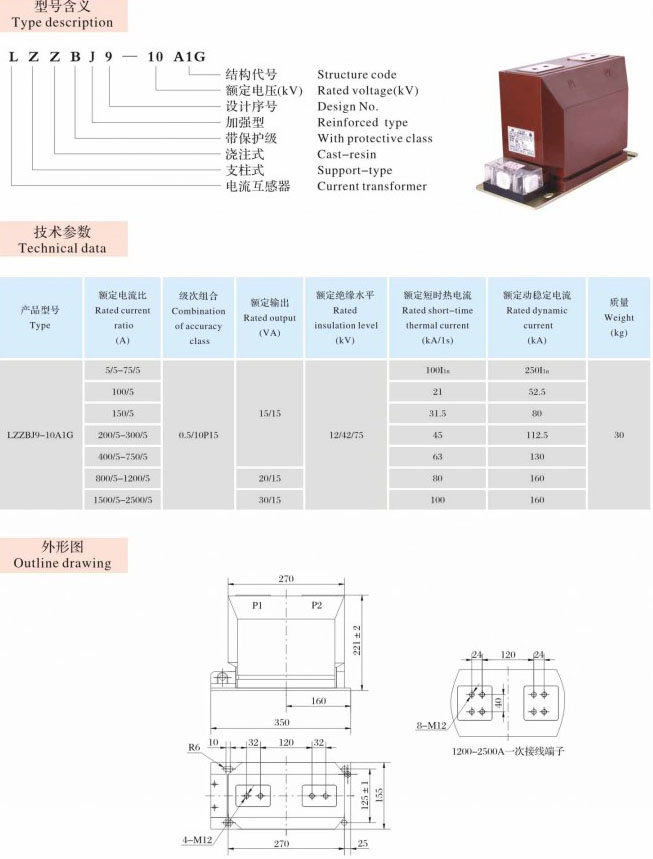 LZZBJ9-10A1G  支柱式、穿墙式