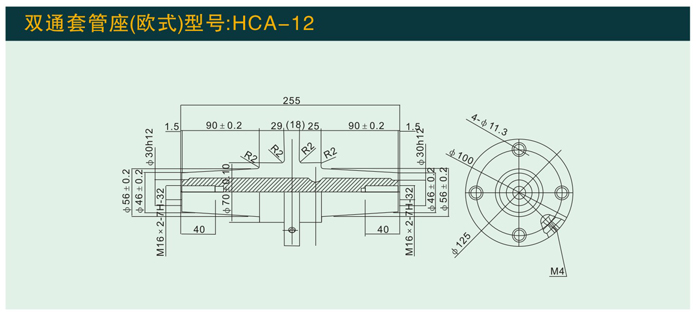 HCA—12   双通套管