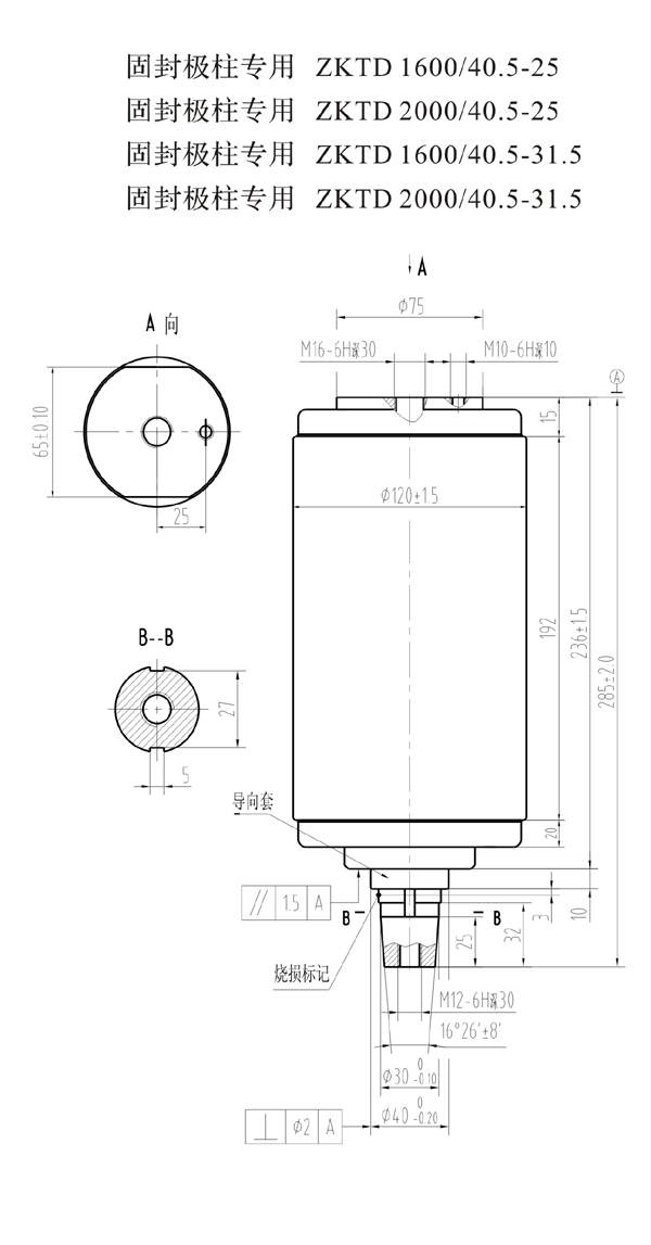 ZKTD2000/40.5-31.5 TD546GF真空灭弧室