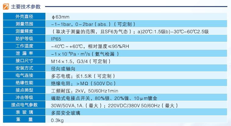 Y60密度（控制）继电器