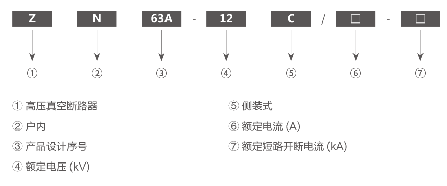 ZN63A(VS1)-12C型侧装式真空断路器