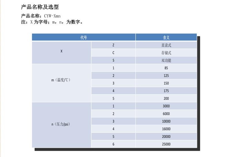 井下电子温度压力计