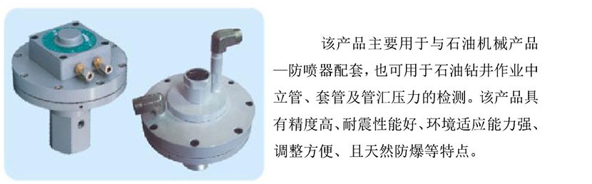 气动抗震压力变送器