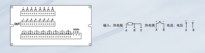 WPL8温度巡检仪