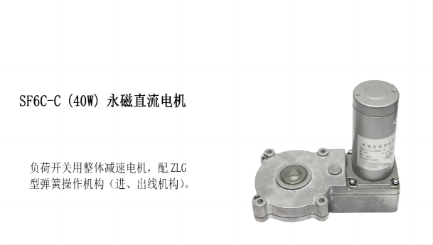 SF6C-C (40W) 永磁直流电机      SF6C系列电机